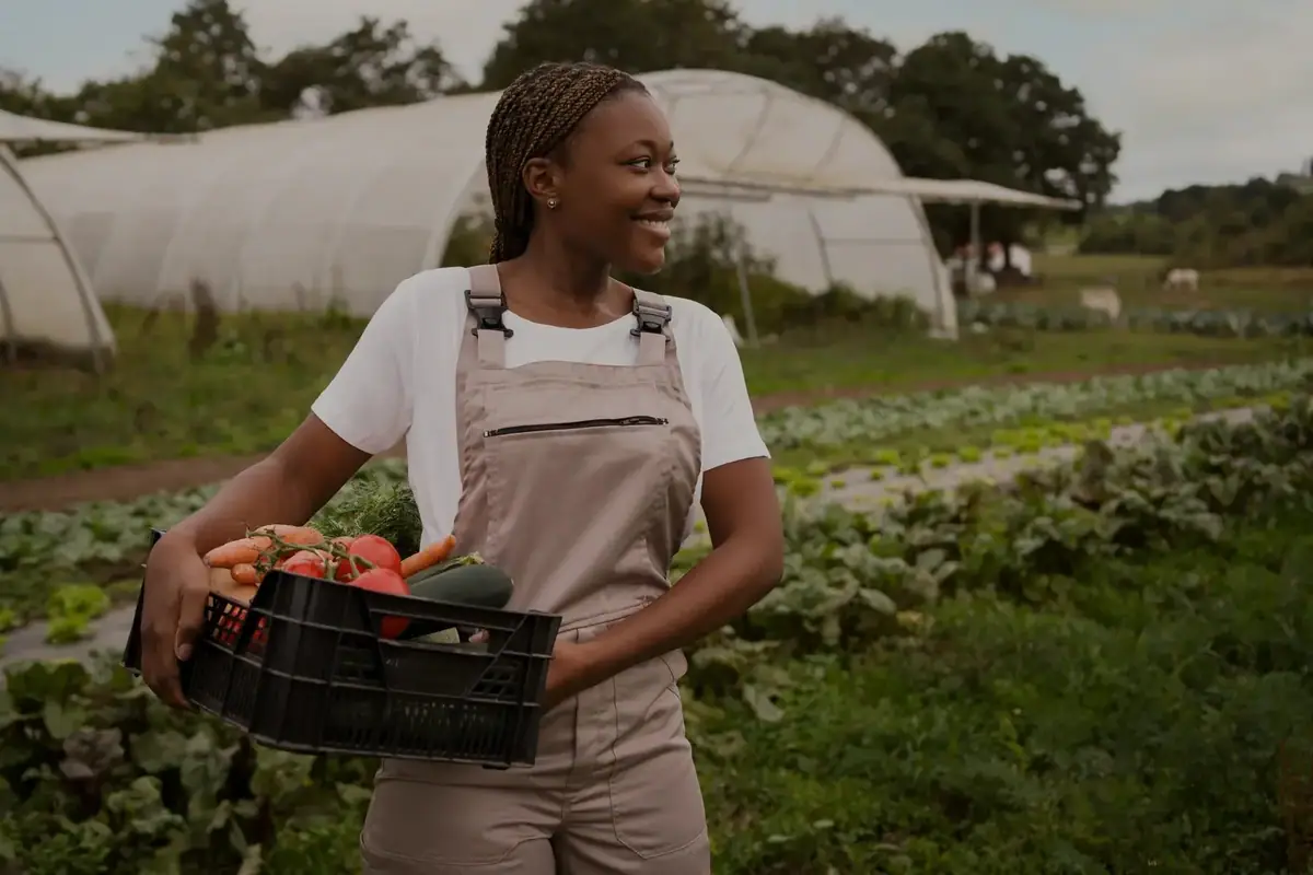 A farmer carrying a crate of fresh tomatoes and carrots